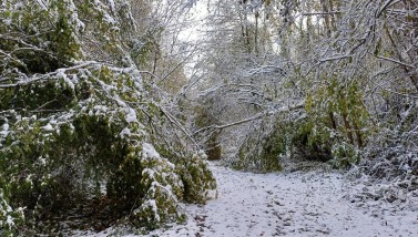 Épisode neigeux voies vertes