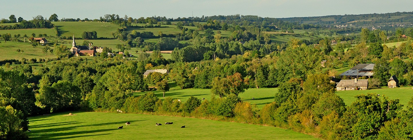 Camembert en été ©Martine Dekeyser-Tourisme61