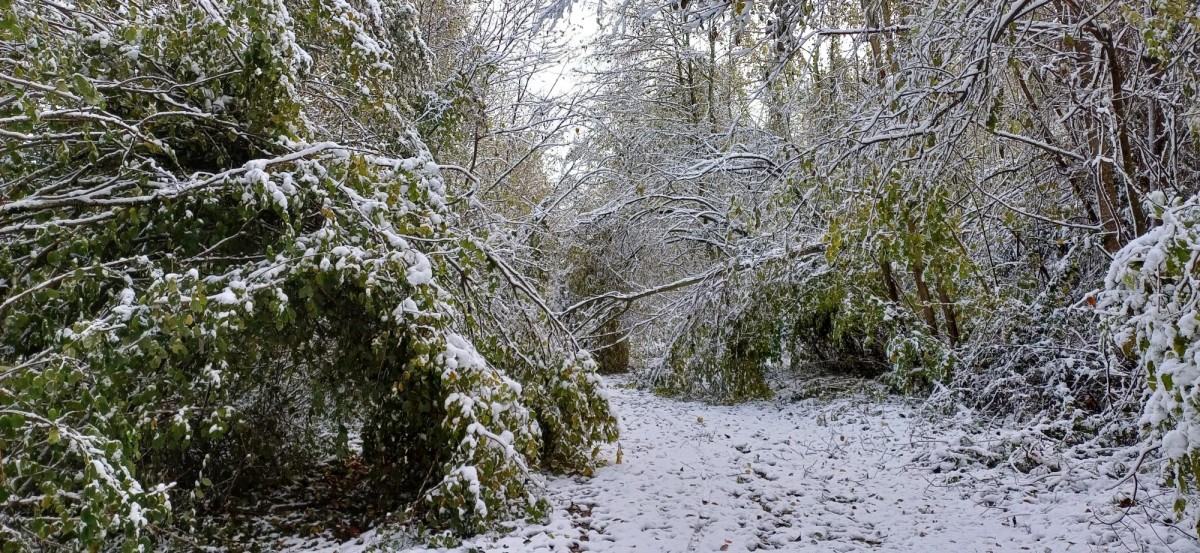 Épisode neigeux voies vertes