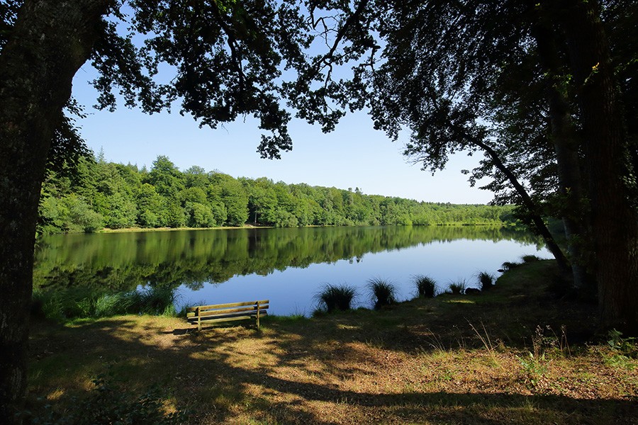 Etang de la lande forêt - Le Grais | © C Aubert