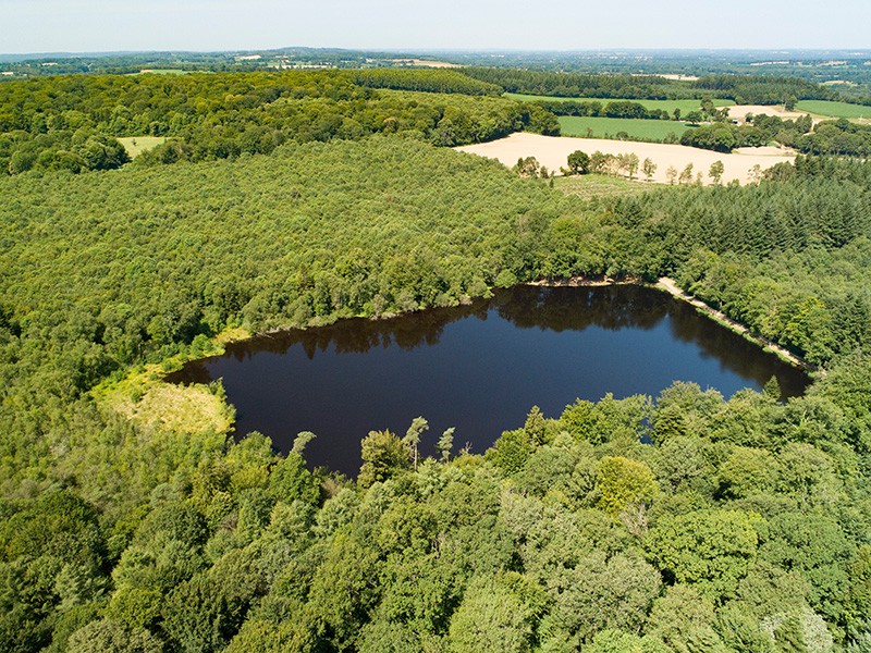 Etang de la lande forêt - Le Grais | © C Aubert