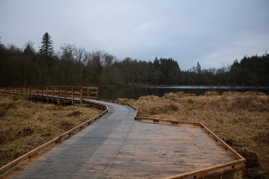 Etang de la lande forêt - Le Grais | CD Orne