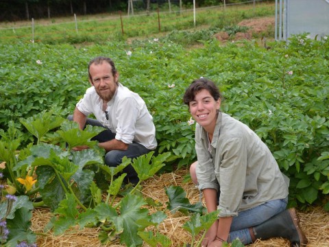 Gabarit 800 x 600 rvb | ©Le Réveil Normand