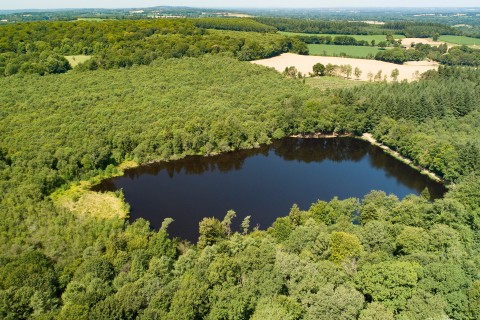 Etang_lande foret_C.AUBERT (1) | C. AUBERT